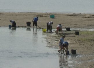 O sector valora de xeito positivo o acordo para exención de cotas á seguridade social dos mariscadores