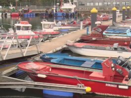 Os tres grandes bancos do libre marisqueo da ría de Arousa permanecerán pechados esta campaña