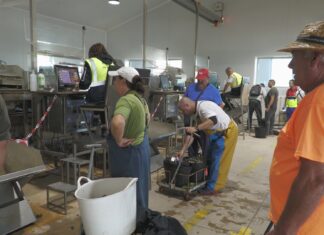 Arrinca a campaña marisqueira de Noia despois de case un ano de paro da actividade