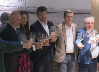 Attis, 25 anos dunha adega cos pés en Meaño e presente xa en 25 países