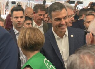 Visita sorpresa de Pedro Sánchez á Festa do Marisco do Grove