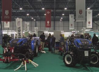 Vintec, o primeiro salón vitivinícola de Galicia, exhibe en Vilagarcía as innovacións do sector